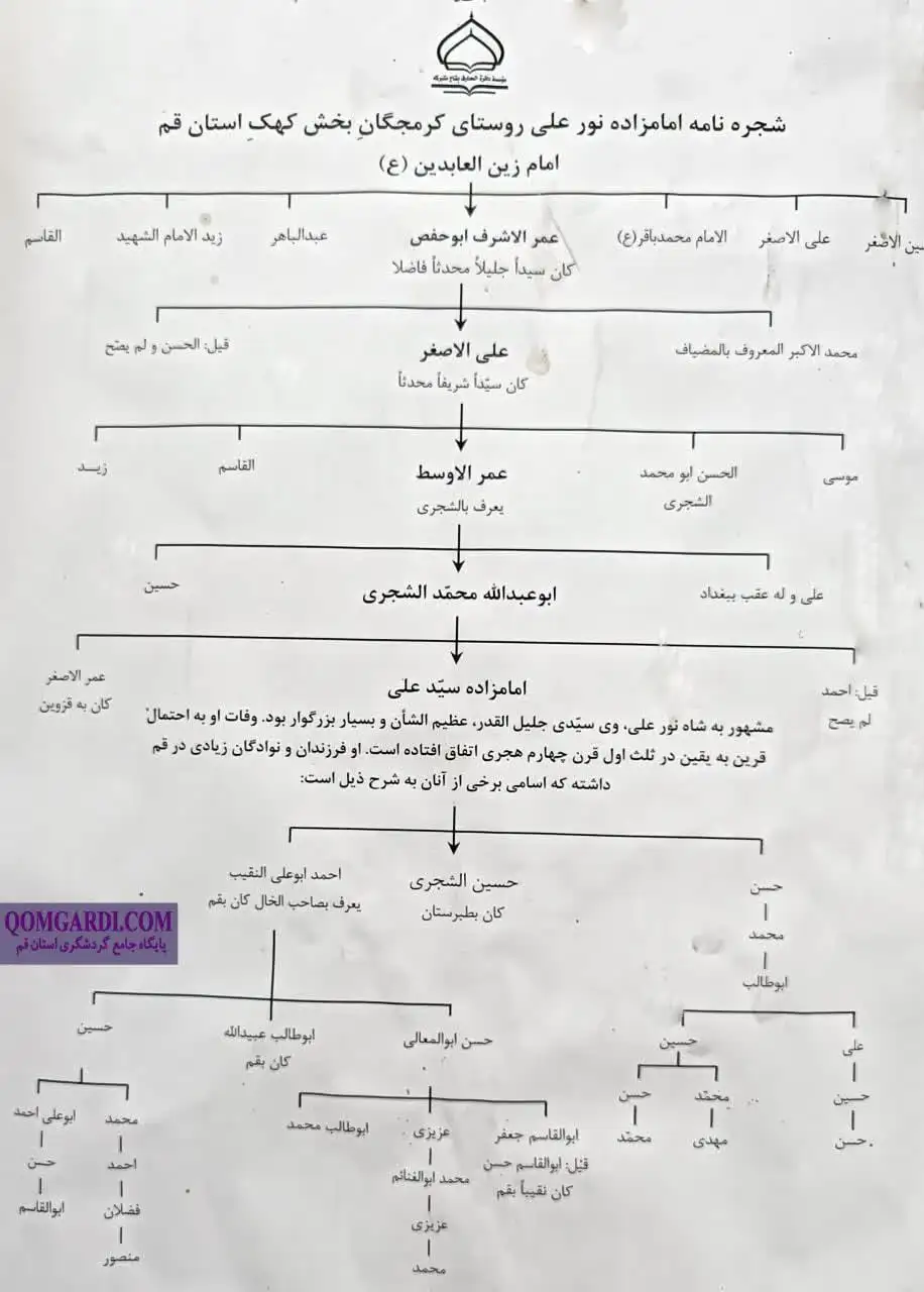 نسب امامزاده نور علی(ع) 